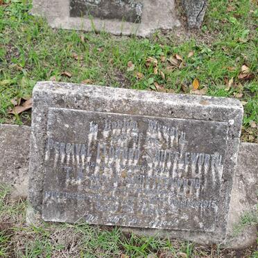 SHUTTLEWORTH Percival Leonard -1915