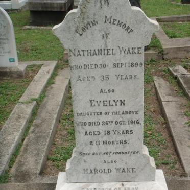 WAKE Nathaniel  -1899 :: WAKE Evelyn  -1916 :: WAKE Harold  -1926