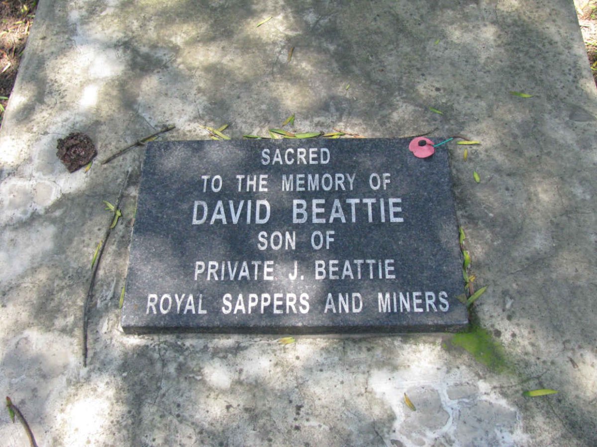 BEATTIE David