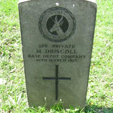 DRISCOLL M. -1917