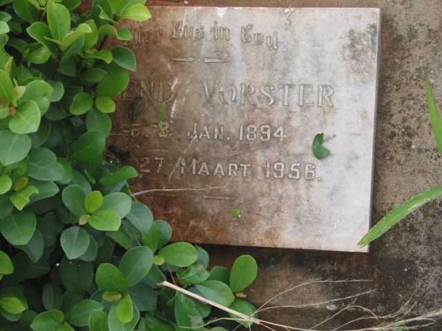 VORSTER Barend 1894-1956