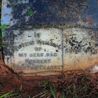 CLARKE Herbert Sefton 