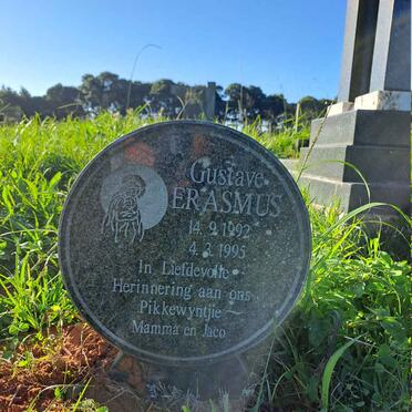 ERASMUS Gustave 1992-1995