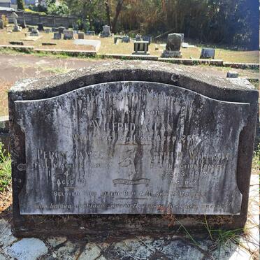 ROBINS Wilfred Allan -1936 :: ROBINS Percy James -1917 :: ROBINS Arthur William -1918