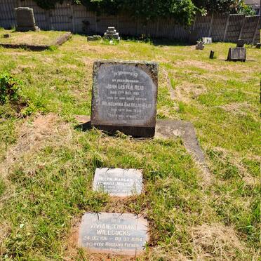 REID John Lister -1951 & Wilhelmina Balsillie -1958 :: WILLCOCKS Vivian Thomas 1911-1994 & Helen Margaret Stewart 1910-1988 _1