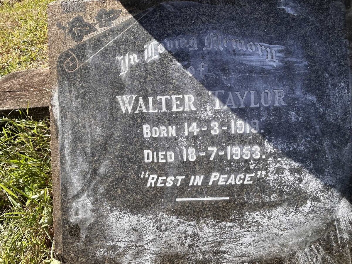 TAYLOR Walter 1919-1953