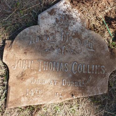 COLLINS John Thomas -1917 