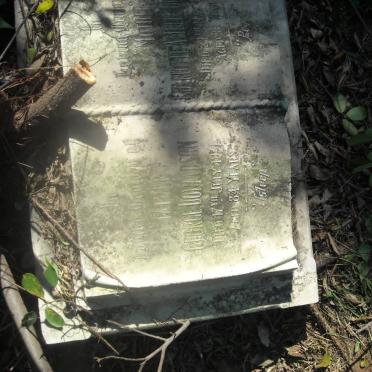 DONALDSON George -1931 &amp; Dorothea Amelia -1932 