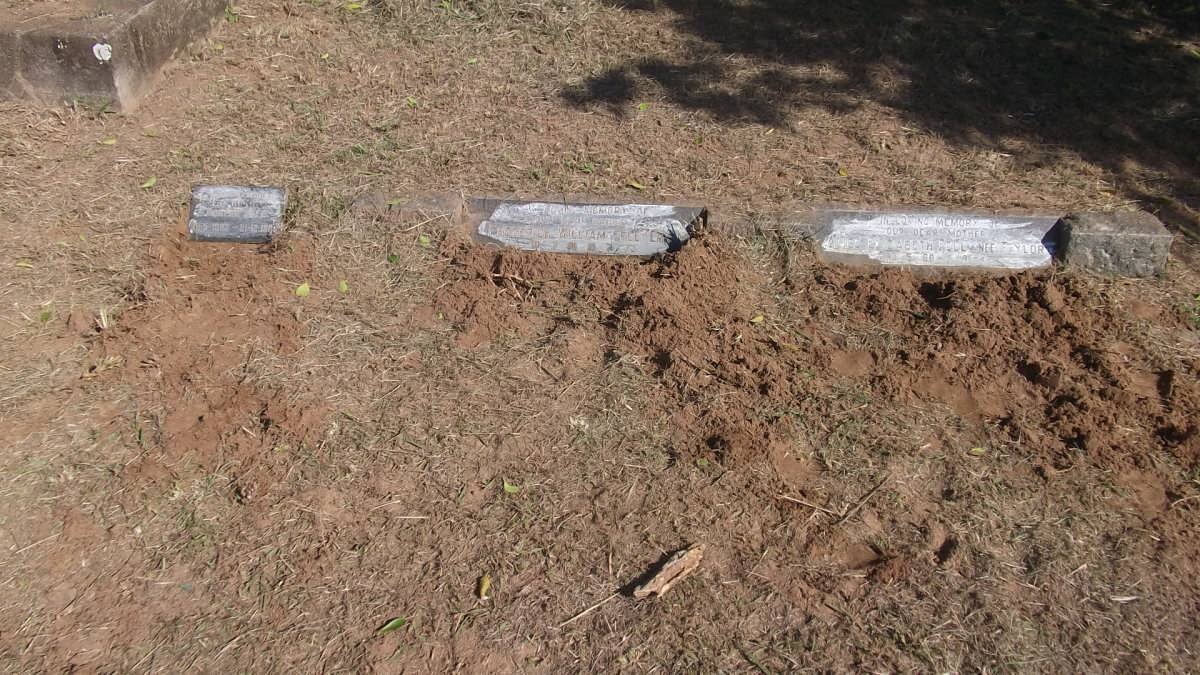 FELL Alice Elizabeth nee TAYLOR 1880-1942 :: FELL Frederick William 1881-1973 :: FELL Doreen 1902-1982