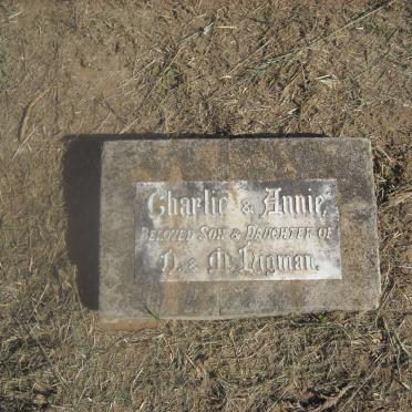 N - Vanne :: Surnames - N