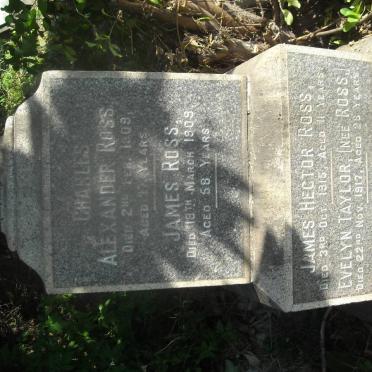ROSS Alexander Cherrie -1974 :: ROSS Annie -1938 :: ROSS Helena Sarah nee LEE -1918 :: ROSS Archibald -1973