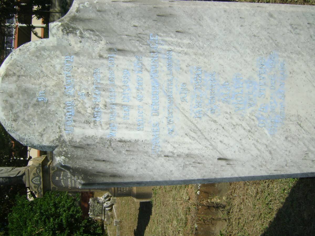 YOUNG ? -1890 :: DUNN A. :: STEVENS Violet -1949