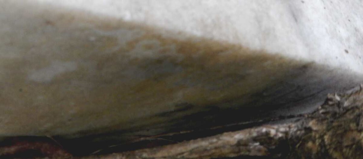 HUNTLY Charles Henry -1955