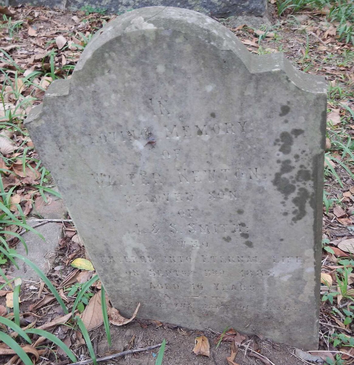 SMITH Walter Newton -1888