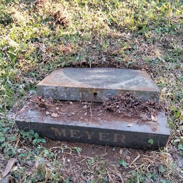 MEYER Leon Jakobus 1969-1989 _1