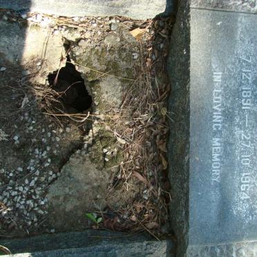 QUINN Dorothy M. 1891-1964