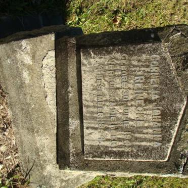 REINECKE Cornelia Johanna 1943-1944