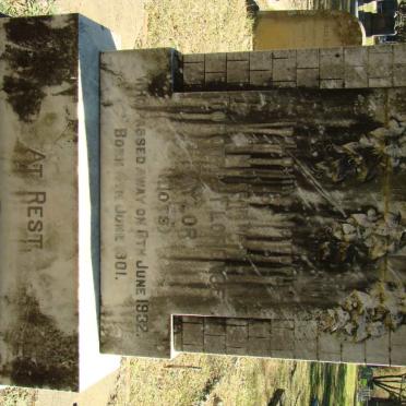 TAYLOR Dorothy Florence 1901-1932