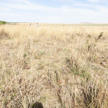 3. Overview / Oorsig