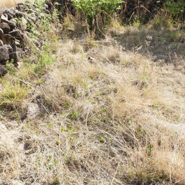 5. Overview / Oorsig