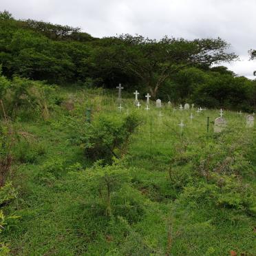 3. Overview / Oorsig