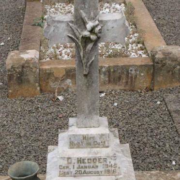 HEDDER D. 1845-1916