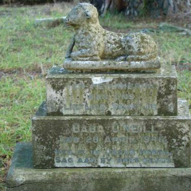 O'NEILL Baby 1946-1946