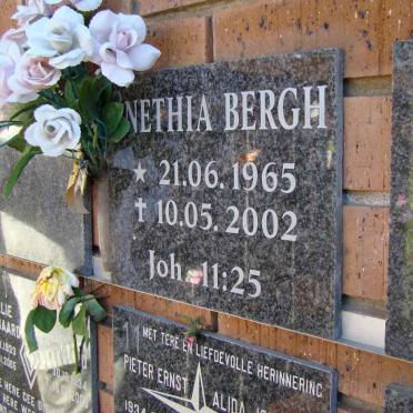 BERGH ?nethia 1965-2002