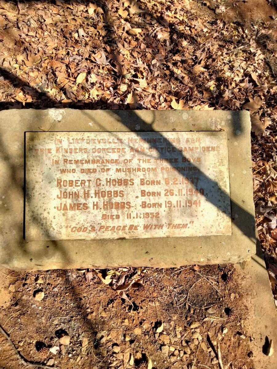 HOBBS Robert G. 1937-1952 :: HOBBS John H. 1940-1952 :: HOBBS James H. 1941-1952