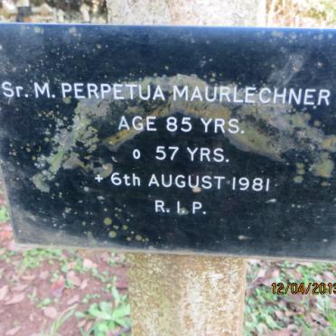 MAURLECHNER Perpetua -1981