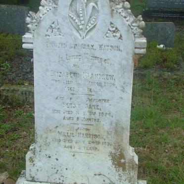 WATSON Elizabeth McAndrew  -1894 :: WATSON Betsy Jane  -1886 :: WATSON Willie Harrison  -1896