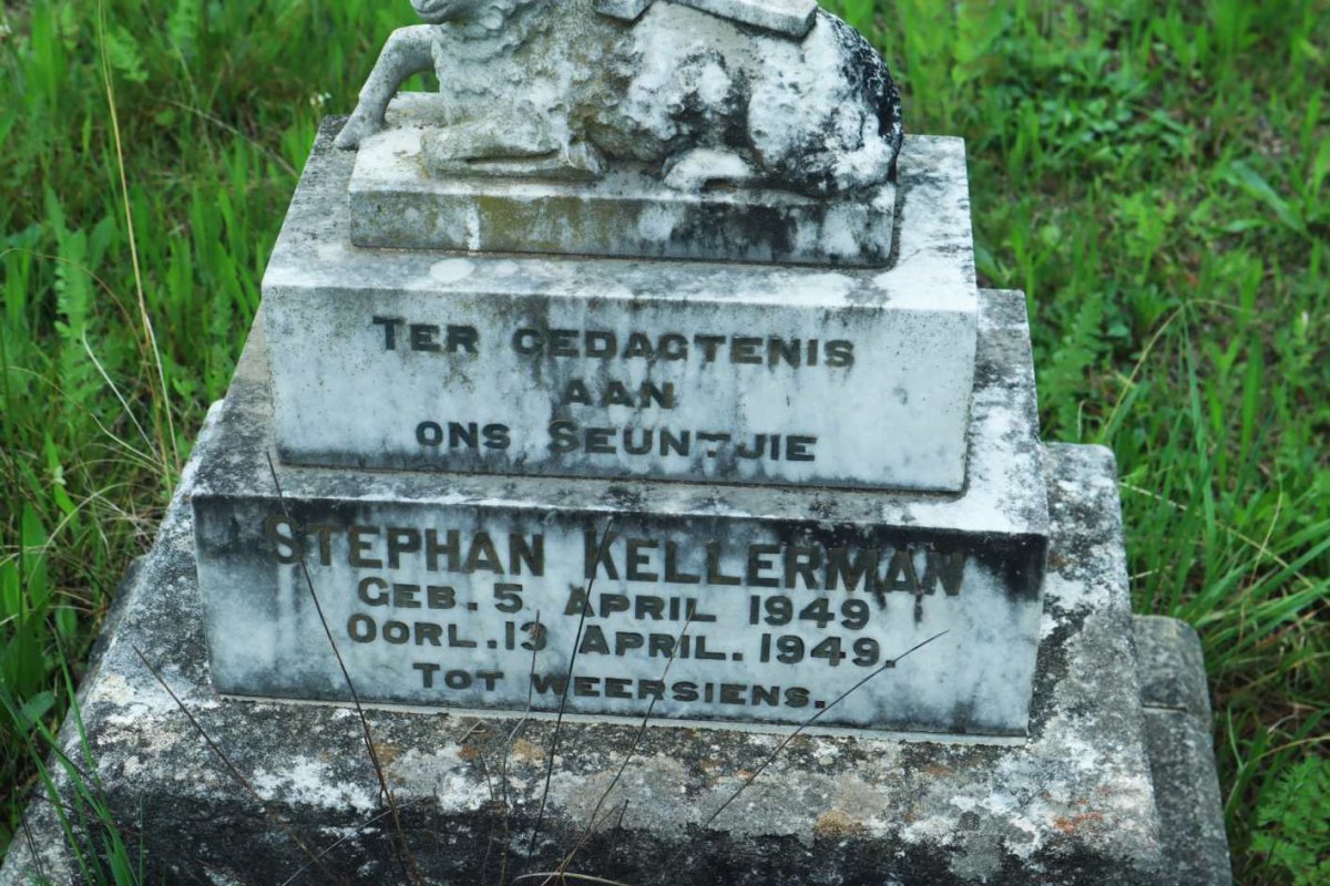 KELLERMAN Stephan 1949-1949