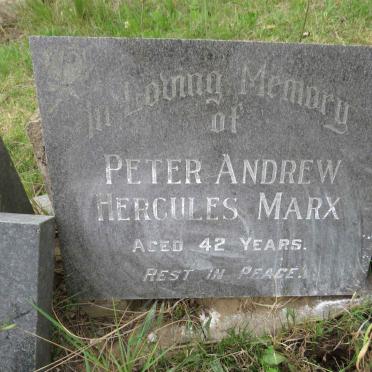 MARX Peter Andrew Hercules