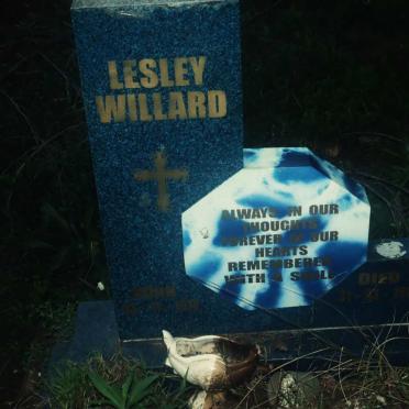 WILLARD Lesley 1974-2004