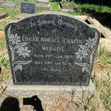 WEBSTER Edgar Horace 1893-1959