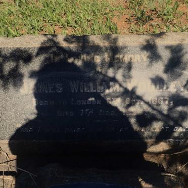 WOOLLEY James William 1867-1936