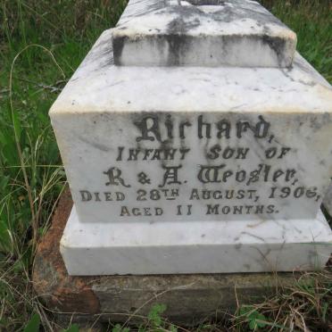 WEBSTER Richard -1906