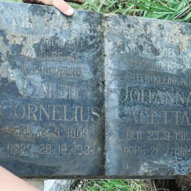 ? David Cornelius 1909-1982 &amp; Johanna Alletta 1915-1989
