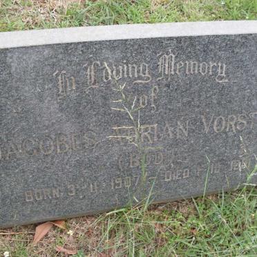 VORSTER Jacobus Adrian 1907-1991