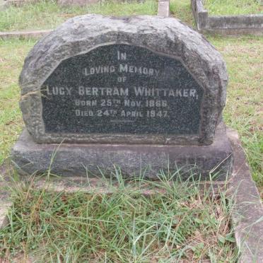 WHITTAKER Lucy Bertram 1866-1947