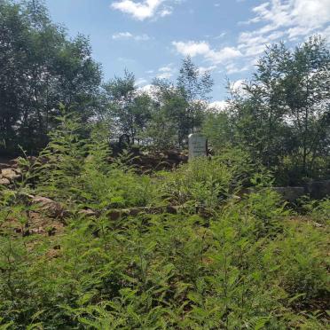 Kwazulu-Natal, KLIPRIVIER district, Van Reenen, The Reproach 4237_2, Wuthering Heights farm cemetery