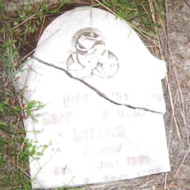 Kwazulu-Natal, KLIPRIVIER district, Collings Pass, Meyersrus, farm cemetery