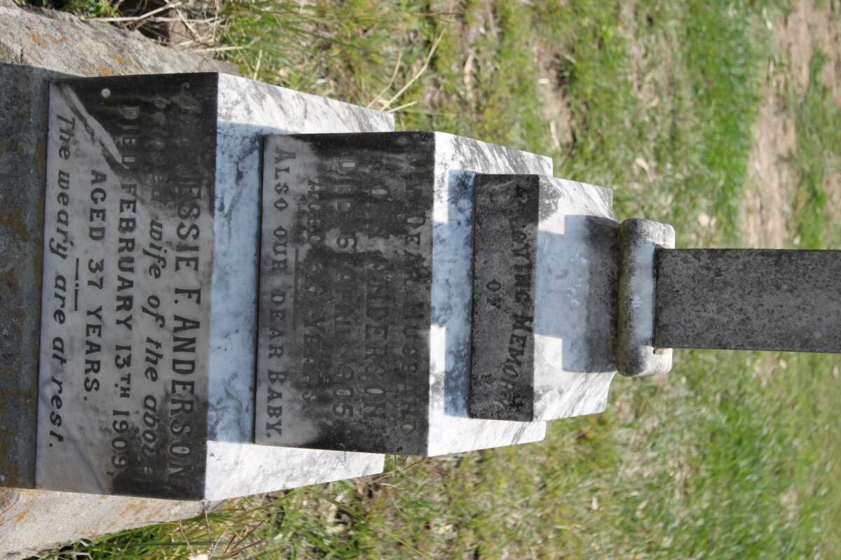 ANDERSON John -1905 &amp; Jessie F. -1909 :: ANDERSON (Baby)