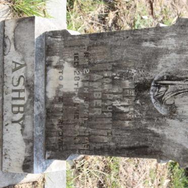 ASHBY Amber 1848-1849