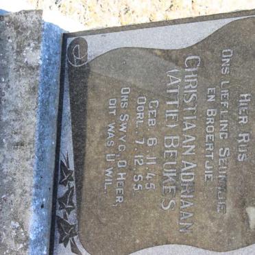 BEUKES Christiaan Adriaan 1945-1955