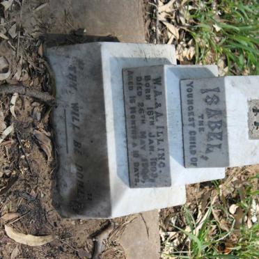 ILLING Isabel 1903-1904