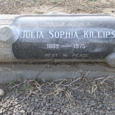 KILLIPS Julia Sophia 1889-1975