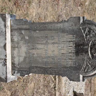 LISTER Willem Samuel 1911-1933