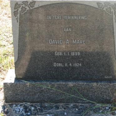 MARÉ David A. 1899-1924