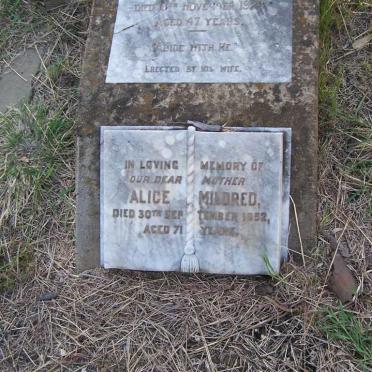 PALMER Alice Mildred -1952